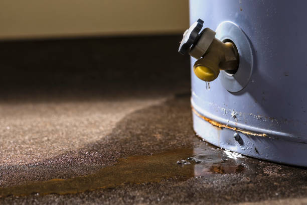 Best Flood restoration services  in Brinckerhoff, NY