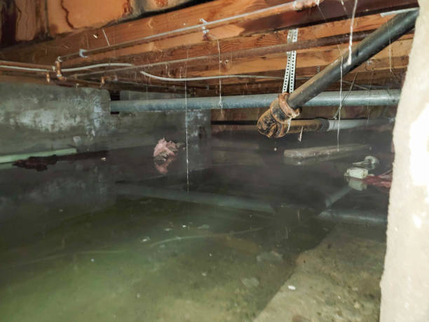 Brinckerhoff, NY Water damage restoration Company