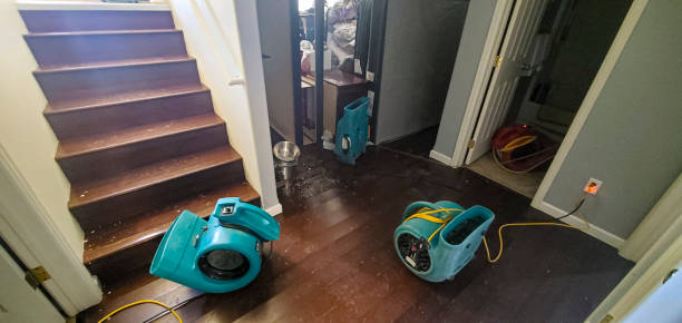 Best Basement water damage restoration  in Brinckerhoff, NY