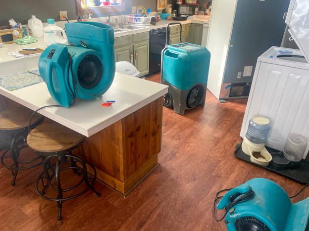 Best Water damage restoration company  in Brinckerhoff, NY