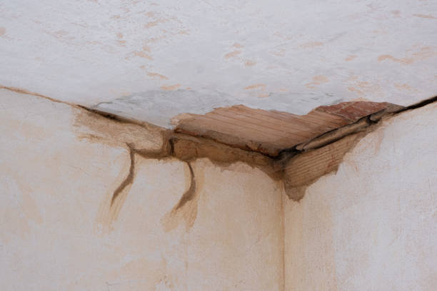 Best Basement water damage restoration  in Brinckerhoff, NY