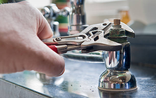 Best Mold removal after water damage  in Brinckerhoff, NY
