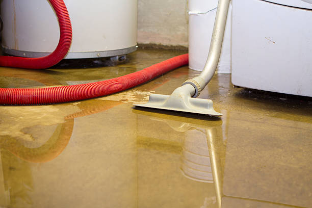 Best Commercial water damage restoration  in Brinckerhoff, NY