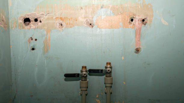 Best Mold removal after water damage  in Brinckerhoff, NY