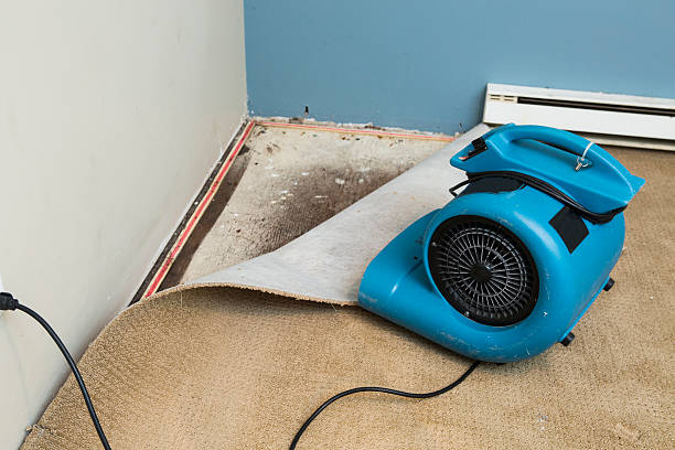  Brinckerhoff, NY Water damage restoration Pros